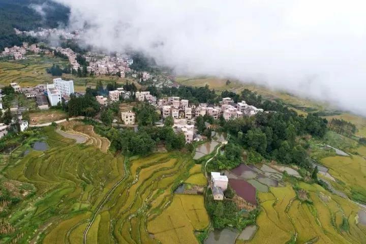 云南18个县城被评为天然氧吧,中国云南天然氧吧城市有哪几个