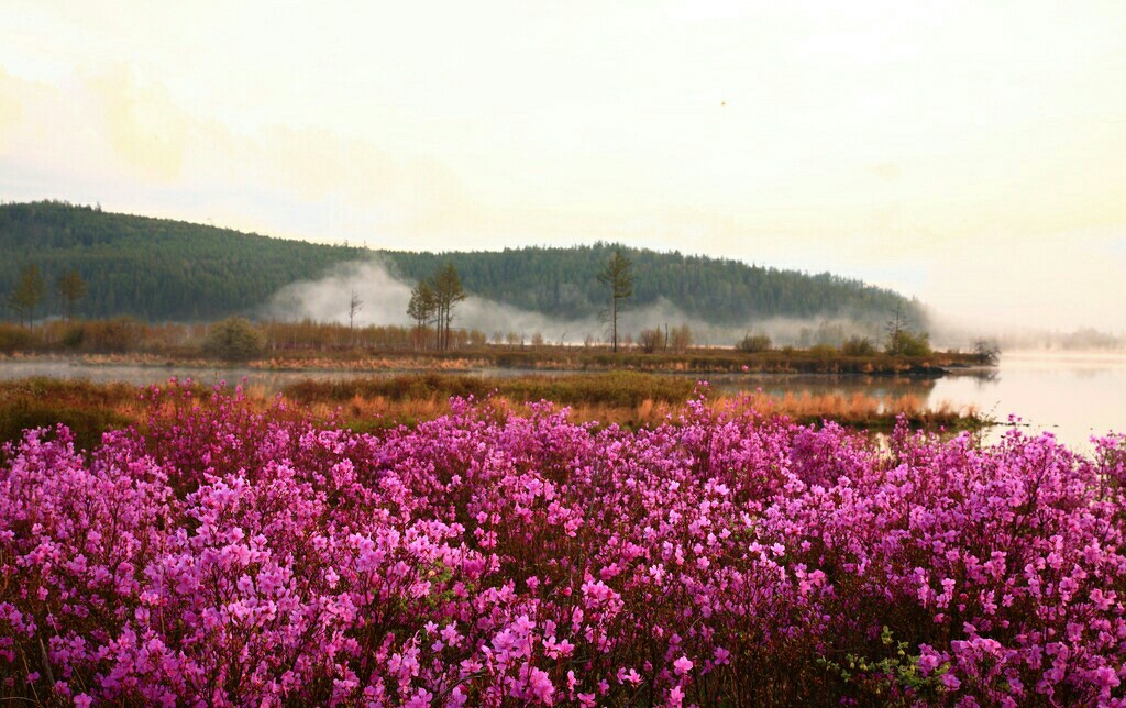 晚期癌症治也治不好，为什么要治呢？治疗有什么意义呢？