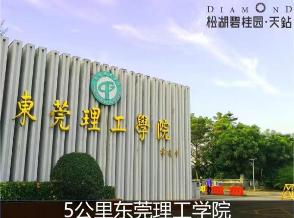 筑造1001|7公里到深圳，2.8公里地铁口，碧桂园天钻如何发光发亮