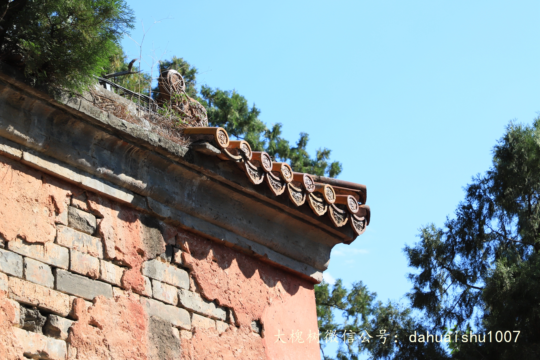 嘉靖陵墓永陵和永乐大典,明朝十三陵之永陵