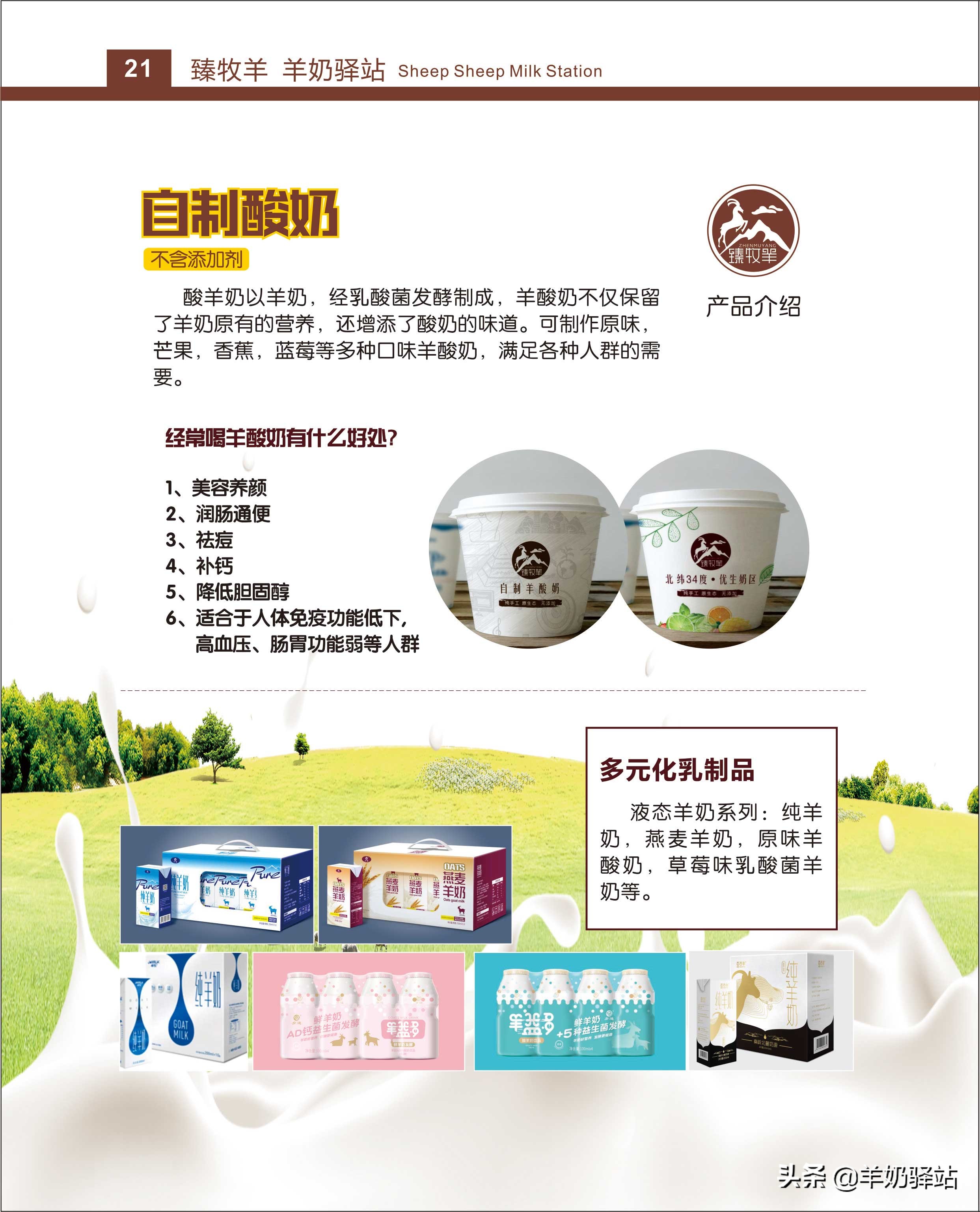 羊奶驿站加盟宣传片,羊奶驿站加盟经营模式