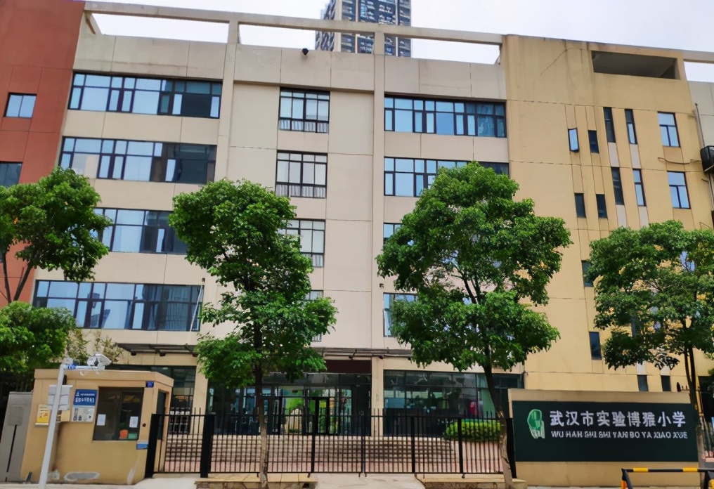 实探伟星公园大道,实探保利大都汇