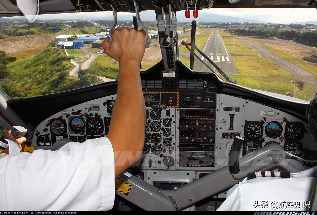 飞机制造商对动物的喜爱到底有多深?——德哈维兰加拿大
