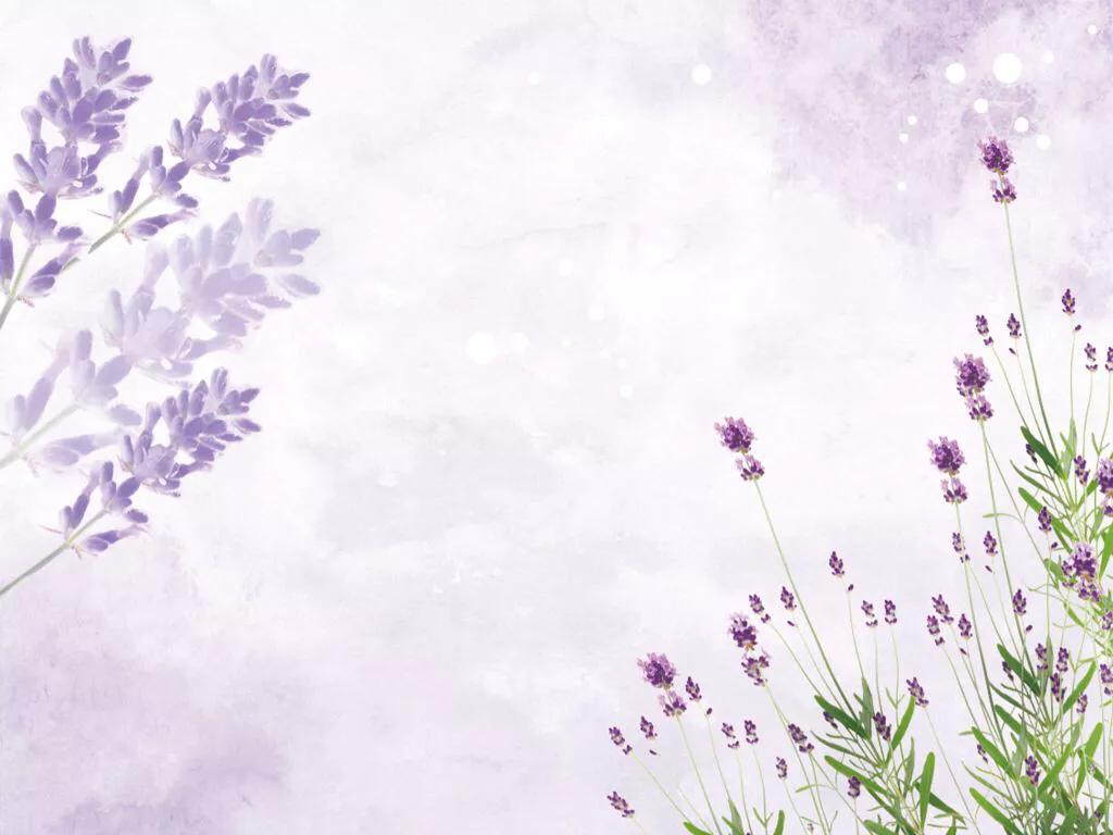 心灵休憩园,心灵栖息园