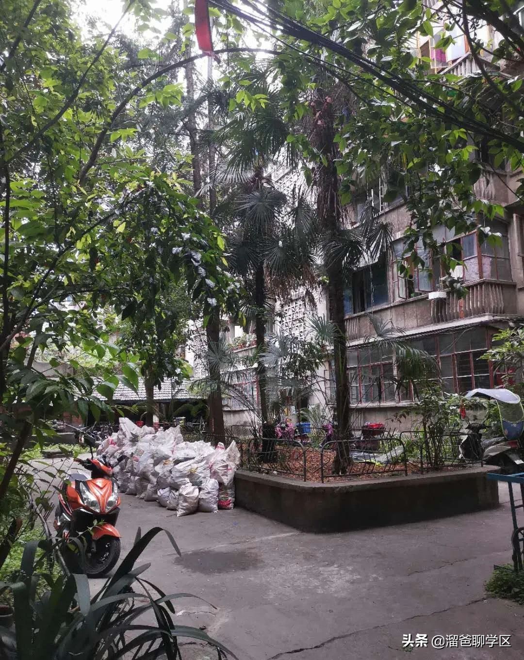 成都最适合买的小学学区房,成都实验小学对应楼盘