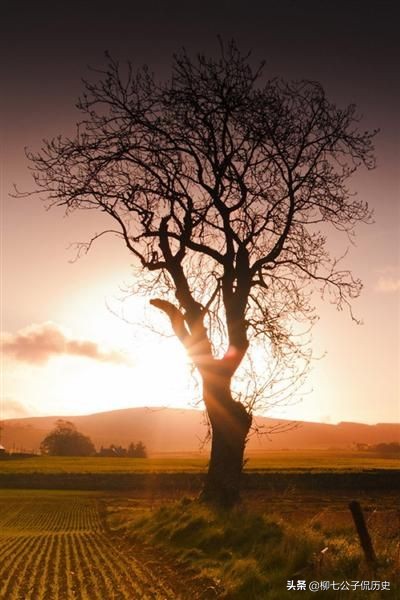 来日方长有多长dj完整版原唱,来日方长有多长粤语版