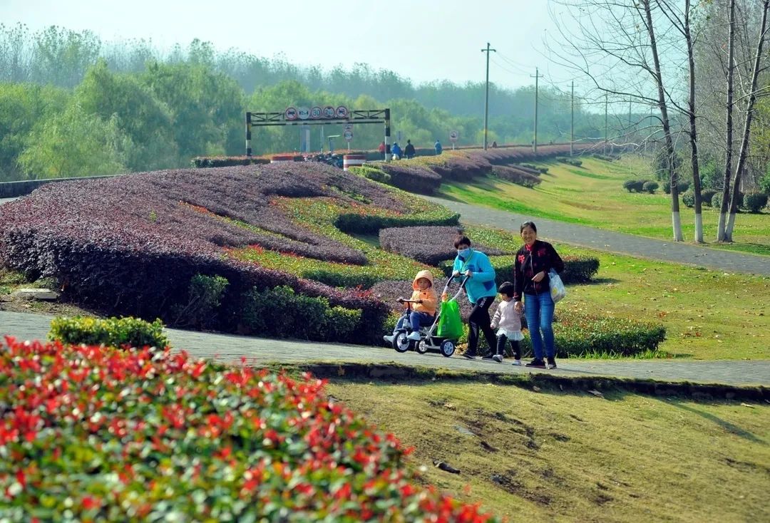 华丽转身木鱼商圈,华丽转身成生态绿廊