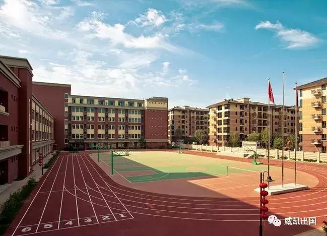 爬藤系学校,中国最好的爬藤学校