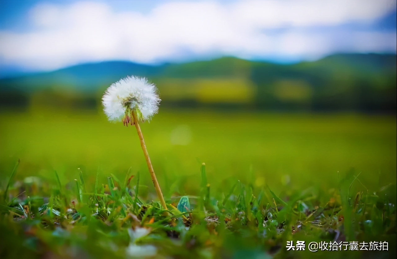 摄影师为什么都用长焦,摄影师为什么喜欢35mm焦段
