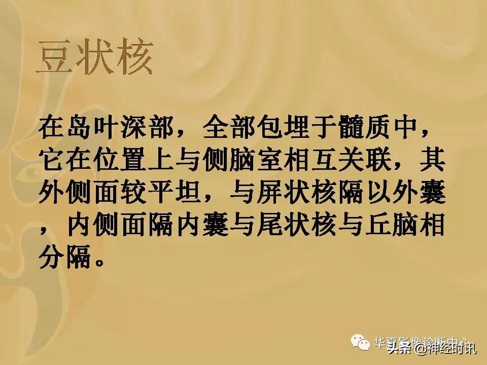 基底节ct解剖示意图,影像解剖图谱怎么用