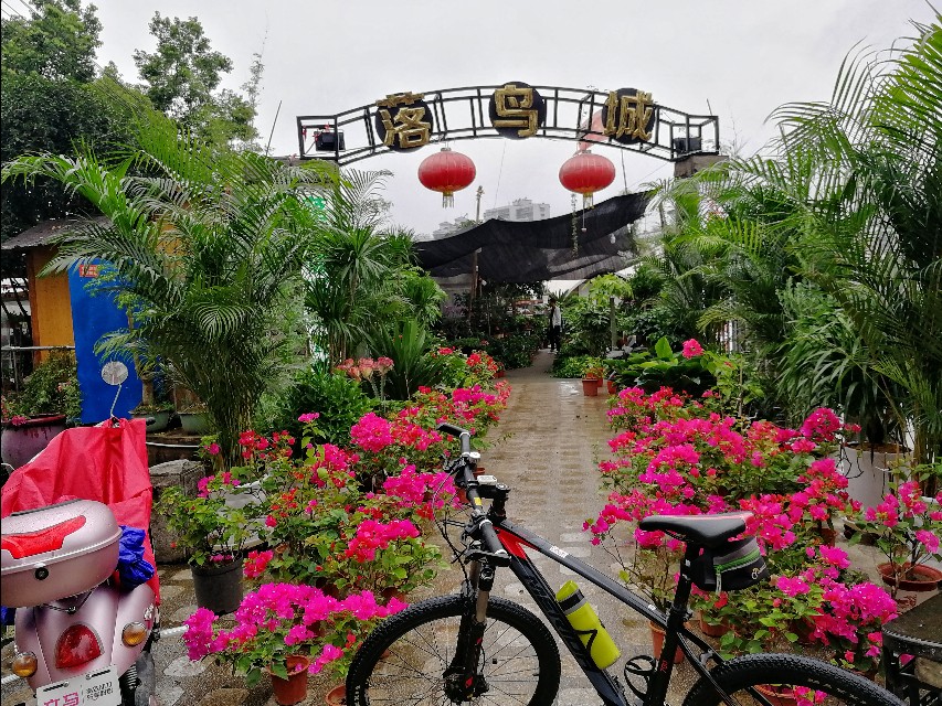 *今条头日**入门之心得