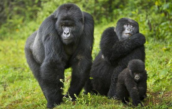 世界最贵国家公园门票,全球最贵的公园门票10000元