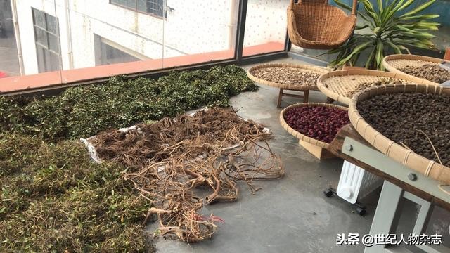中草药市场乱象视频,中草药骗局揭秘最新