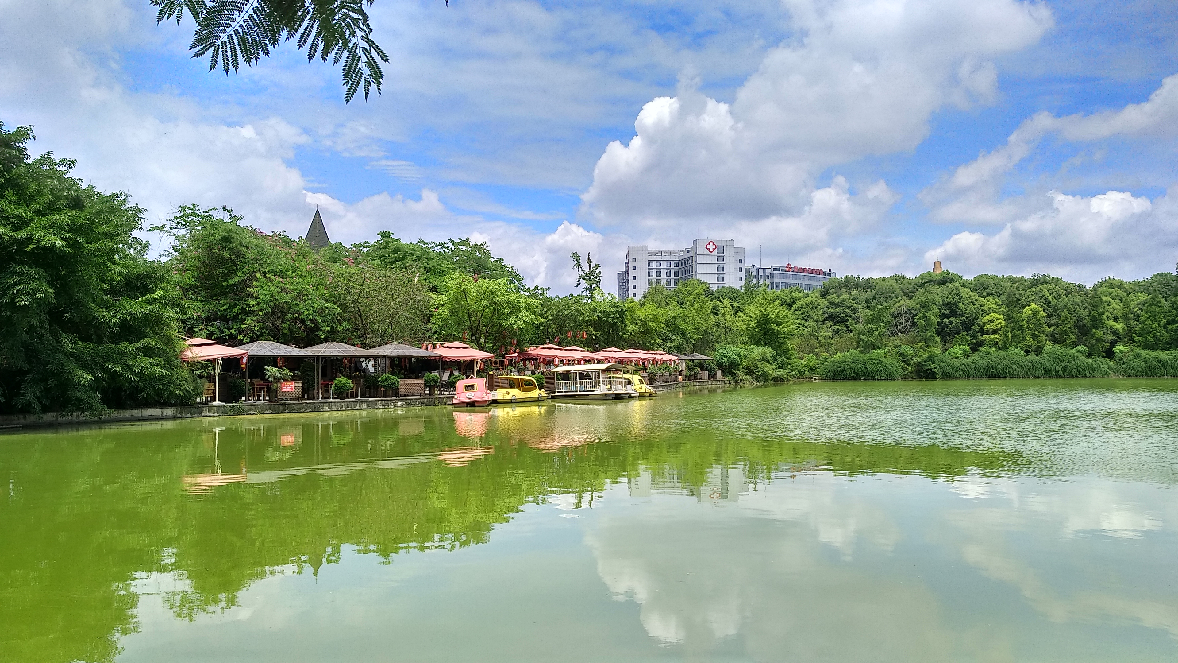 成都南湖公园钓鱼,成都南湖公园