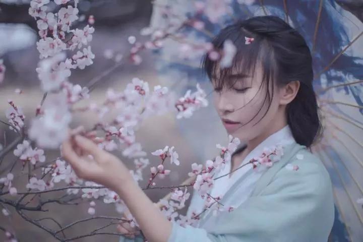 近期火爆的后宫流小说,给大家推荐一本后宫流小说