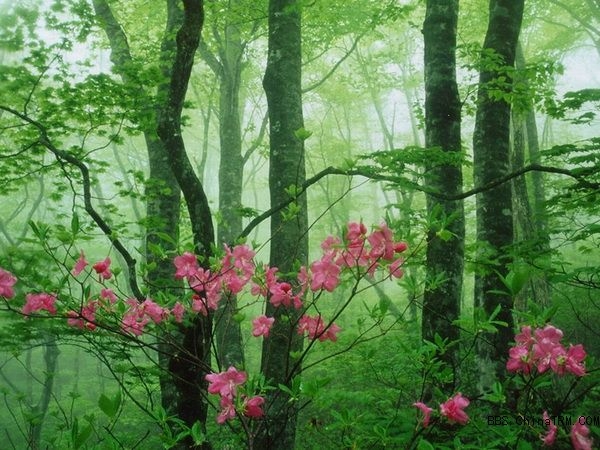 关于朱熹的经典诗词名句,关于朱熹的诗有哪些