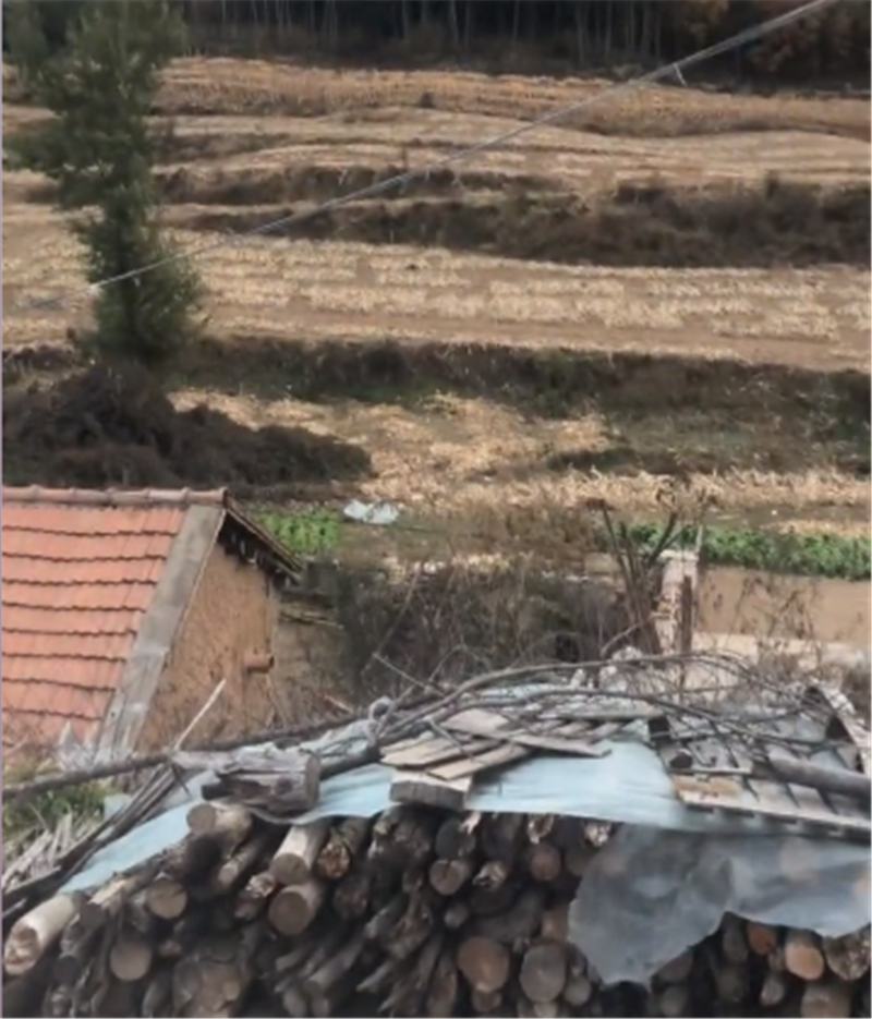 蔡萝莉爆红,蔡萝莉之前热度视频