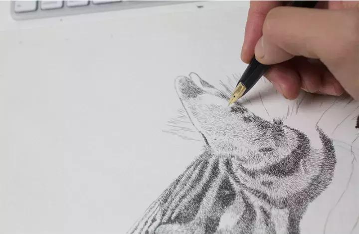 小央美钢笔画视频,极品五大钢笔画简直美爆