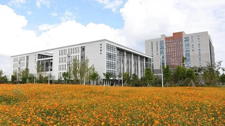 绍兴元培中学分校怎么样,绍兴市元培中学2024届