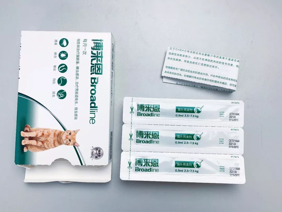 用了博来恩还要内驱吗,博来恩猫外驱