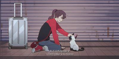 飙升9.0！这国产成人动画，怎么*窥偷**了我的生活