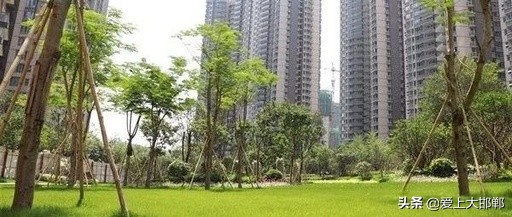 购买的房子开发商破产了怎么办,买的房子开发商破产清算怎么办