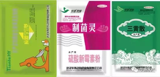 草鱼肚子鼓胀怎么急救,草鱼缺氧最快的急救方法