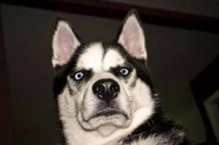 老公买一万多羽绒服,老公给我买件一千羽绒服