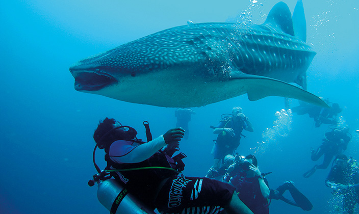 马尔代夫马富士度假岛一日游,马尔代夫魔富士岛