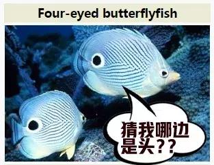 不喂奶就不会分泌奶水吗,不喂奶就是不爱宝宝