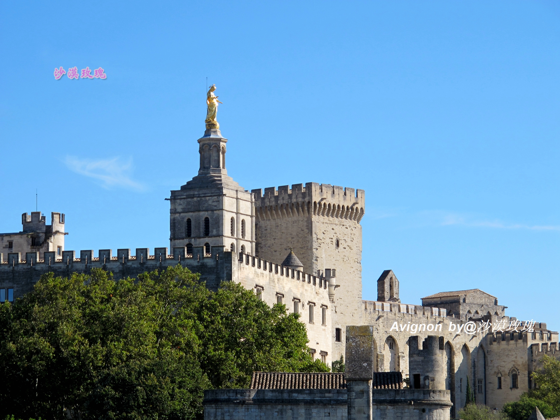 普罗旺斯有浪漫的薰衣草,普罗旺斯未开的熏衣草