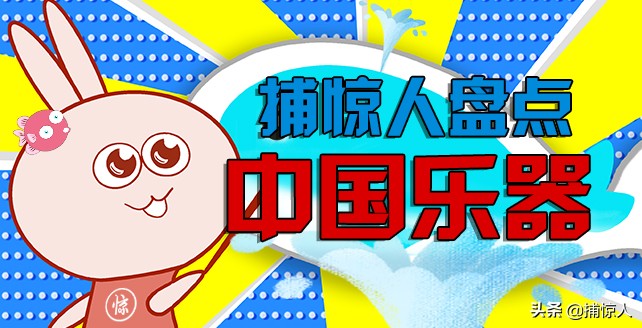 外国人听中国乐器震撼的视频,让老外惊讶的捕苍蝇器