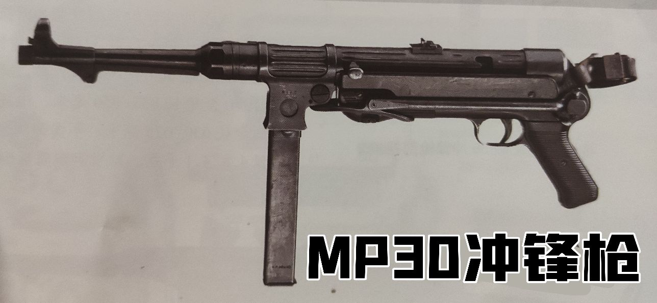 英国枪史图册全篇,德国枪图片