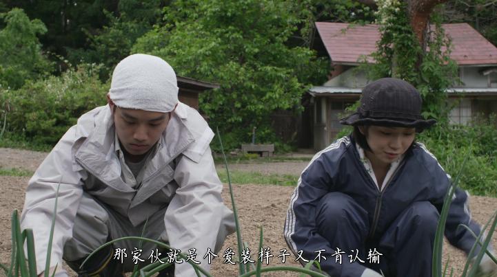 小森林治愈电影,日本美食电影小森林