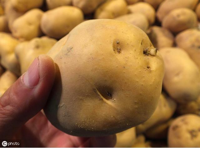 家里有蟑螂怎么办蟑螂最怕什么,蟑螂怕什么怎样驱赶蟑螂最有效