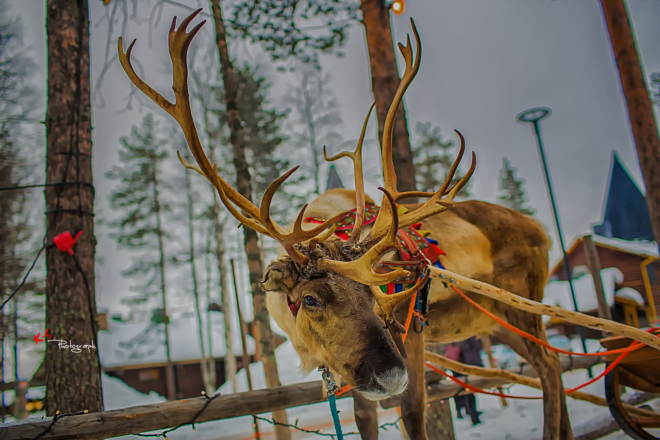 果小姐的日常,果小姐的慢生活