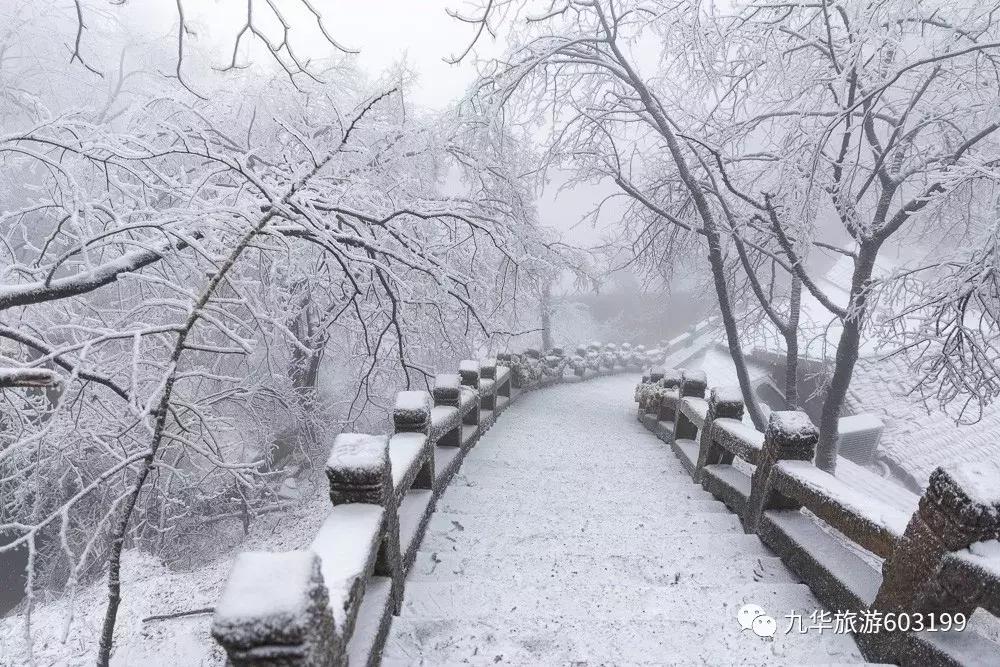 九华山一级文物镇山之宝,九华山血经是藏在哪
