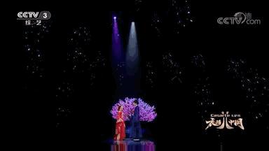 一眼看尽中式婚服,只羡鸳鸯不羡仙结缘