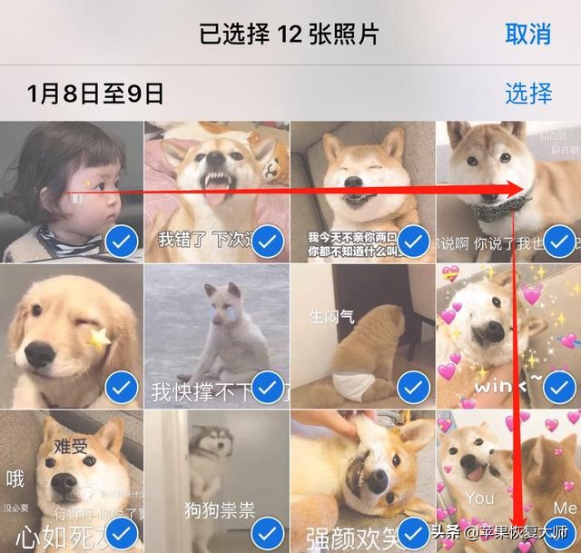 苹果手机只装一张卡,苹果手机只安装win10系统