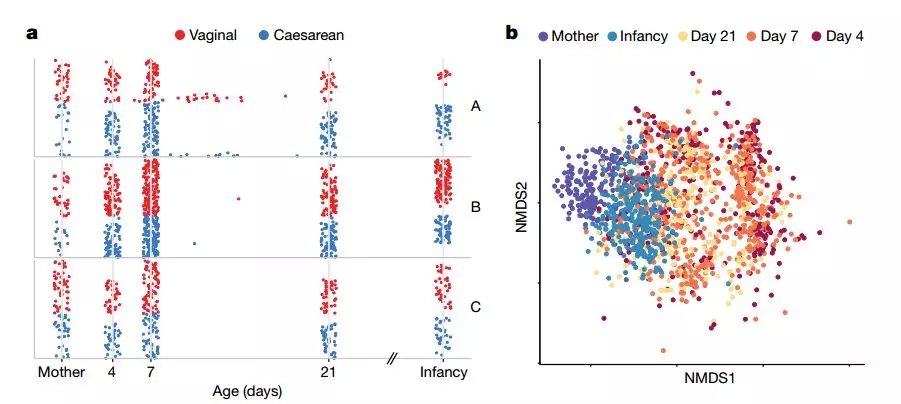 Nature发表迄今最大规模研究表明,分娩方式是影响婴儿肠道菌群构成的主要原因