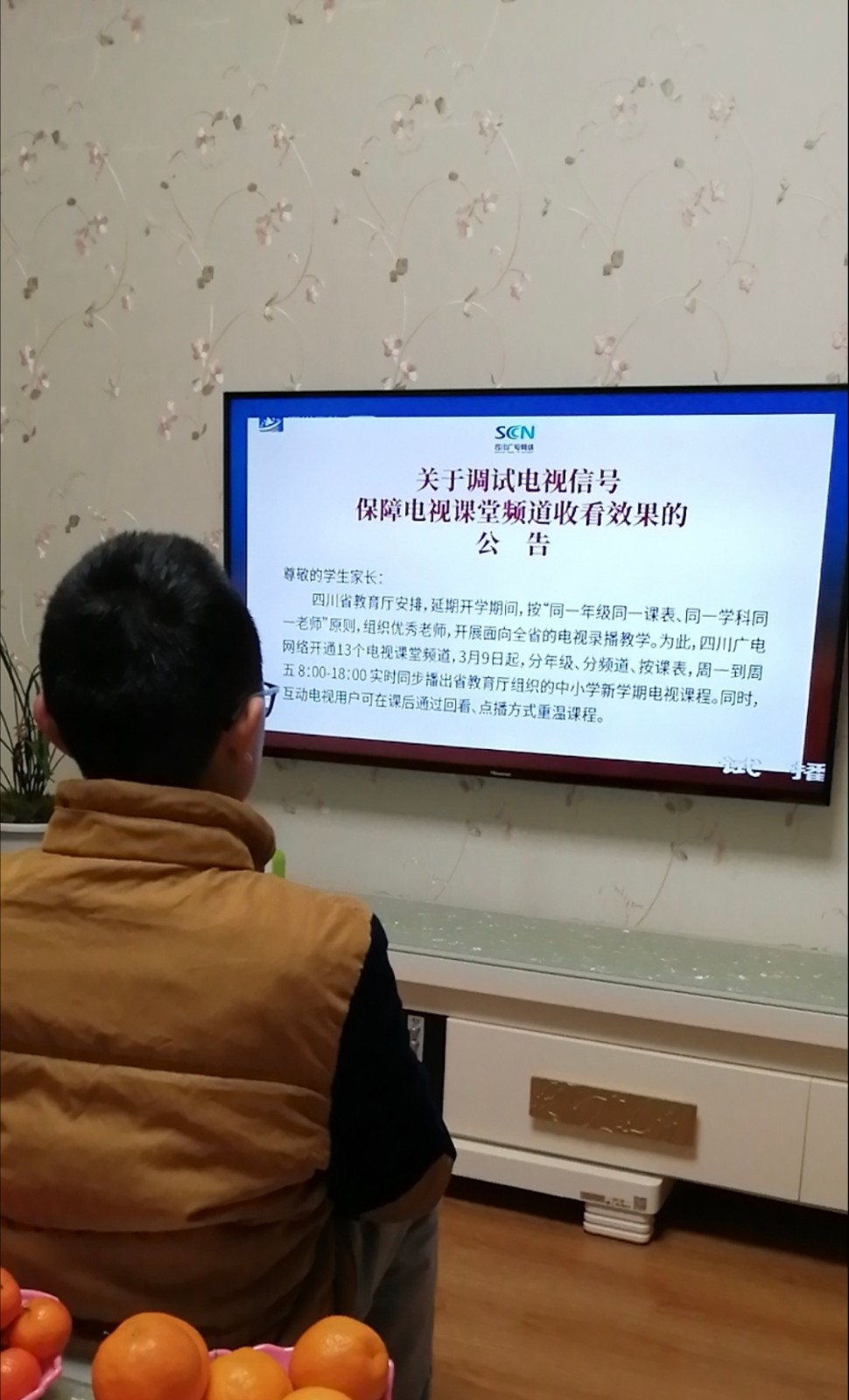 安徽广播电视台小学生打卡,超过500万中小学生