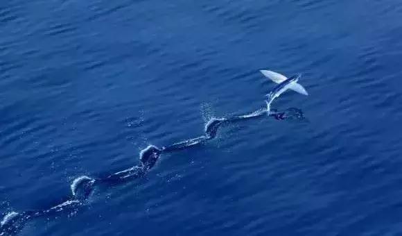 城市印象小区好不好,城市印象海安