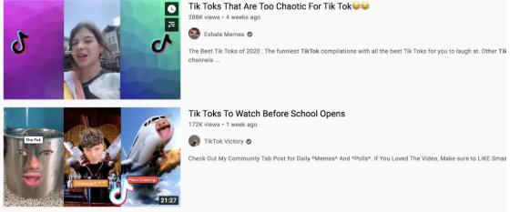 跨境电商tiktok海草,海草跨境短视频直播运营中心