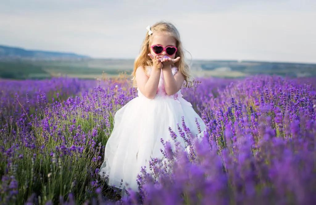 上海最大薰衣草公园,上海薰衣草公园迪士尼