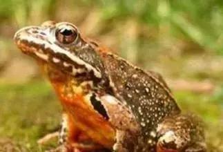 白山是山水城市吗,你真的了解白山市吗