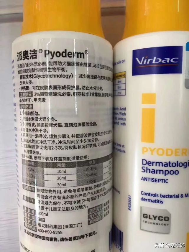 猫咪感染癣,猫咪感染猫癣怎么办