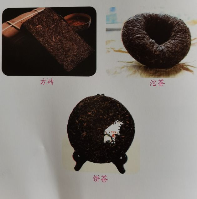 勐海茶厂历史与发展,勐海茶厂历史资料