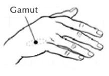 etf情绪释放教程,etf情绪释放