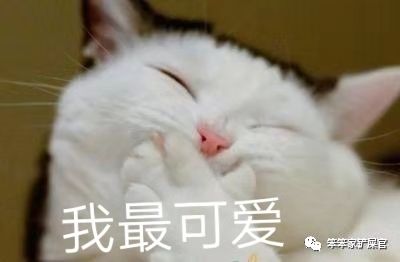 猫咪做了过敏原检测脱敏需要多久,猫咪容易过敏吃什么猫粮