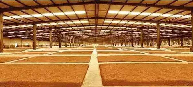 液态白酒是什么意思,液态型白酒和固态型白酒什么意思